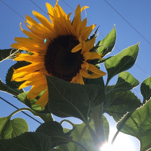 Profile Picture of Luke Winkelman (@lekchux) on Poshmark