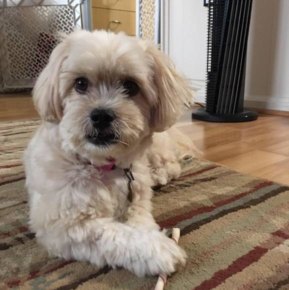 Profile Picture of Judi Tamanaha (@judiyt) on Poshmark