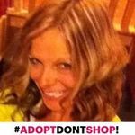 Profile Picture of Sherri Todd (@belgians4ever) on Instagram
