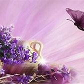 Profile Picture of YOLANDA ALCARAZ GUILLEN (@YOLANDAALCARA14) on Twitter