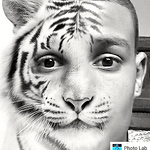 Dahma Nus - Flickr Profile Picture of Dahma Nus (@dahmanus1) on Flickr