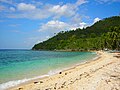 Aloguinsan - Wikipedia Profile Picture of Aloguinsanon Wikipedia