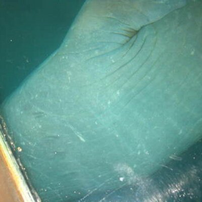 Profile Picture of Brooke Miner (@@BrookeMiner) on Twitter