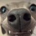 Profile Picture of Annie Vue (@Annie-Vue) on Facebook
