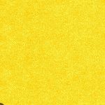 Profile Picture of Bswags (@brady.wagner) on Instagram