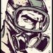 Profile Picture of Leo Cabrera (@chilifactor) on Pinterest