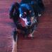 Profile Picture of Nathan Schwartz (@nathan.schwartz.1675) on Facebook