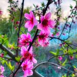 Profile Picture of Shelly Amber Leigh (@gemstar2020) on Instagram