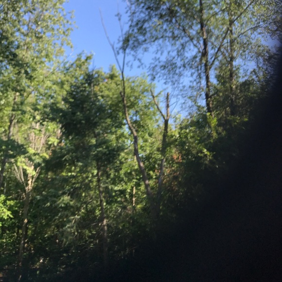 Profile Picture of Nadia Deljavan (@chaikenar) on Poshmark