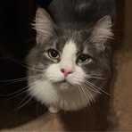 Profile Picture of Nicholas Coffin (@nicholas.coffin.506081) on Facebook