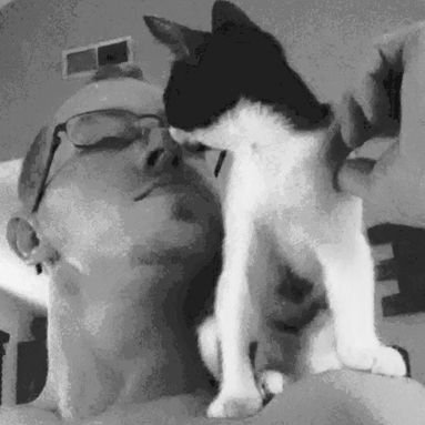 Profile Picture of Andrew Lee Sistrunk (@sistrunk_lee) on Twitter