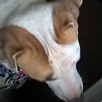 Profile Picture of mariah duncan (@maejfj) on Instagram