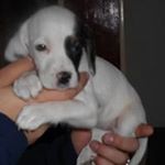 Profile Picture of Michèle Dufour (@michele.dufour.7) on Instagram