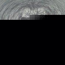 Profile Picture of Thomas Halvorson (@119342794) on Myspace