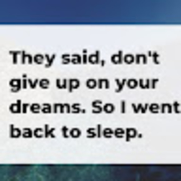 Profile Picture of Stephanie Liu (@165184) on Poshmark