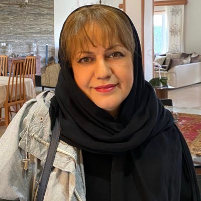 Profile Picture of Hakimeh Miresmaili (@HMiresmaili) on Twitter