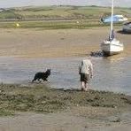 Profile Picture of Stuart Crabb (@stuart.crabb.35) on Facebook