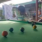 Profile Picture of Andrew Diblo (@Andrew-Diblo) on Facebook