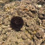 Profile Picture of Brittany James (@brittany.james2009) on Instagram