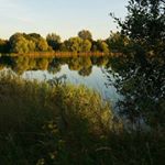 Elisabeth Oudar - Instagram Profile Picture of Elisabeth Oudar (@thebasilou) on Instagram