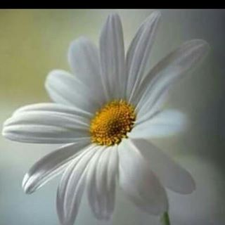 Profile Picture of Oum Aness (@Oum-Aness) on Facebook