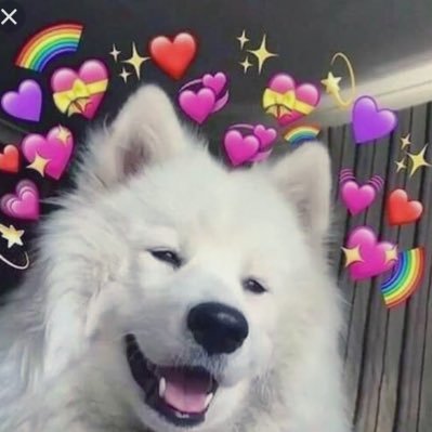 Profile Picture of Gillian Greer (@GillianGreer8) on Twitter