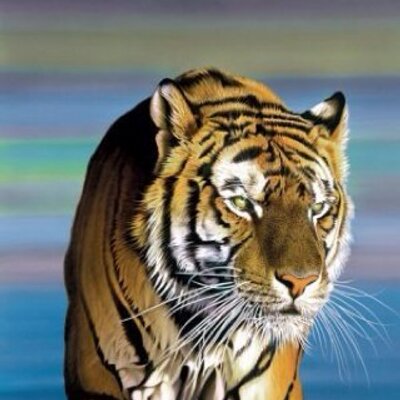 Profile Picture of Silvia Simonetti (@silviasimonetti) on Twitter