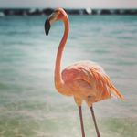 Profile Picture of Jessica Vandergriff Seat (@seatjessica) on Instagram