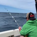 Profile Picture of Brian Rehmann (@brehmann33) on Instagram