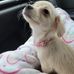 Profile Picture of Charlene Shaw (@charlene.shaw.182) on Facebook