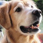 Profile Picture of Mike Brockway (@mike.brockway) on Instagram