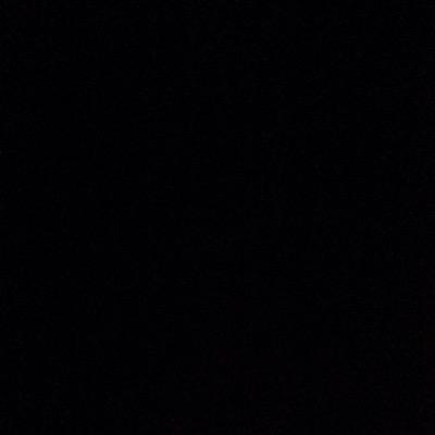 Profile Picture of Jesse Lee McIntyre (@RabbitMcIntyre) on Twitter