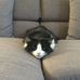 Profile Picture of Michael Berchtold (@michael.berchtold.31) on Facebook