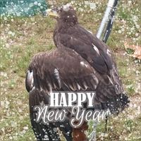 June Christy - Quora Profile Picture of June Christy (@june-christy-1) on Quora