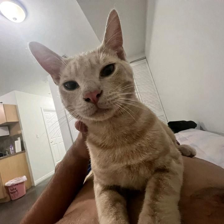 Profile Picture of JoshuaHughes (@mt7zvtxm969) on Tiktok