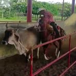 Leonardo Pablo - Facebook Profile Picture of Leonardo Pablo (@leonardo.pablo.90226) on Facebook