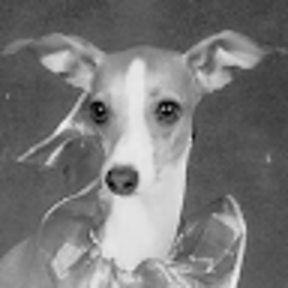 Jasan Grey - Poshmark Profile Picture of Jasan Grey (@greyjasan) on Poshmark