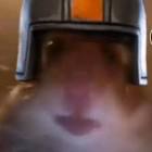 Profile Picture of   Audric Rasschaert Live on... (@fortnitefun_tiktok) on Tiktok
