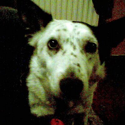 Profile Picture of Nathan Cannon (@nathancannon) on Twitter