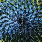 Darby Soriano - Facebook Profile Picture of Darby Soriano (@Darby-Soriano) on Facebook