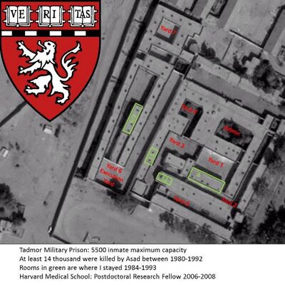 Profile Picture of Tadmor Harvard (@Tadmor_Harvard) on Twitter