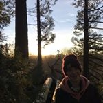 Profile Picture of Curtis.bye-jensen (@curtis.byejensen) on Instagram