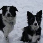 Profile Picture of Patrick Sinnard (@psinnard) on Instagram