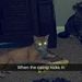 Profile Picture of Nathan McBain (@nathan_mcbain) on Pinterest