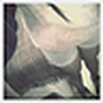 Profile Picture of Paula Ramos (@p.dosen) on Flickr