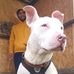 Profile Picture of Kevin Bilbao (@kevin.bilbao.3956) on Facebook