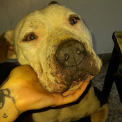 Profile Picture of Natasha Quintero (@natashaquintero6838) on Youtube