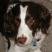 Profile Picture of Jeani Olson (@jeani312) on Pinterest