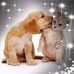 Profile Picture of Jannie Ja Schaap (@Jannie-Ja-Schaap) on Facebook
