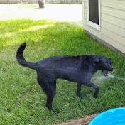 Profile Picture of Scott Pritzen (@scottpritzen8421) on Youtube